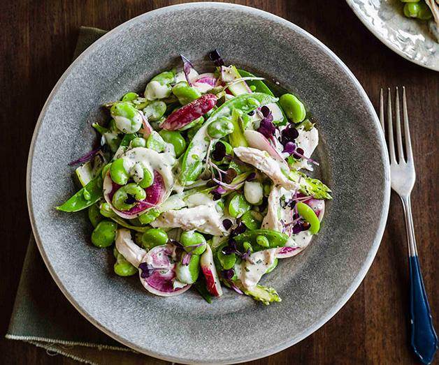**[Poached chicken, broad bean, radish and young garlic salad](https://www.gourmettraveller.com.au/recipes/browse-all/poached-chicken-broad-bean-radish-and-young-garlic-salad-14313|target="_blank")**
